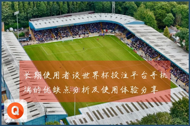 长期使用者谈世界杯投注平台手机端的优缺点分析及使用体验分享