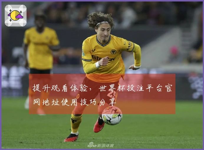 提升观看体验,世界杯投注平台官网地址使用技巧分享