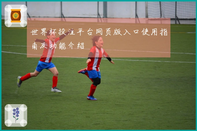 世界杯投注平台网页版入口使用指南及功能介绍