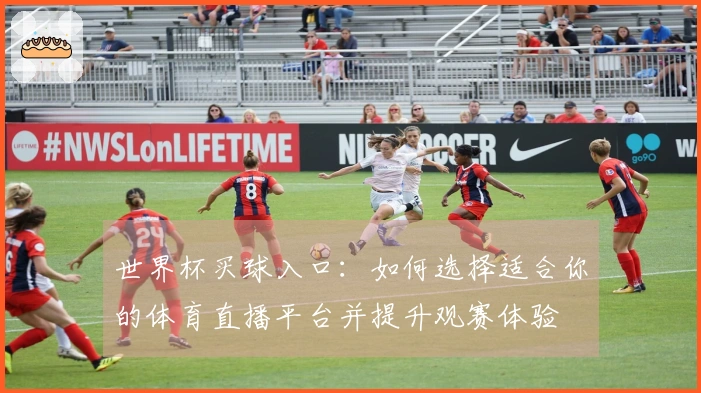 世界杯买球入口：如何选择适合你的体育直播平台并提升观赛体验