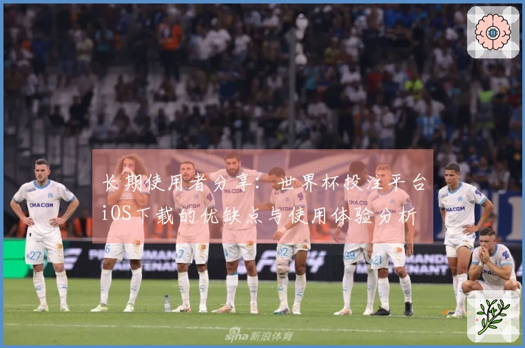 长期使用者分享：世界杯投注平台iOS下载的优缺点与使用体验分析