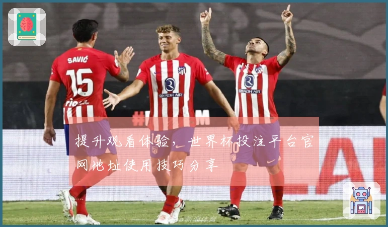 提升观看体验，世界杯投注平台官网地址使用技巧分享