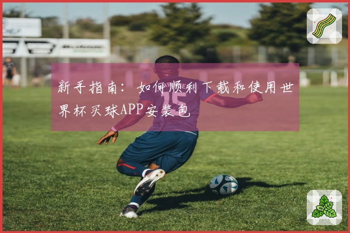 新手指南：如何顺利下载和使用世界杯买球APP安装包