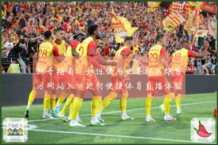 新手指南：如何使用世界杯买球官方网站入口进行便捷体育直播体验