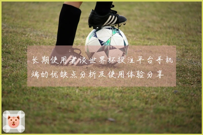 长期使用者谈世界杯投注平台手机端的优缺点分析及使用体验分享